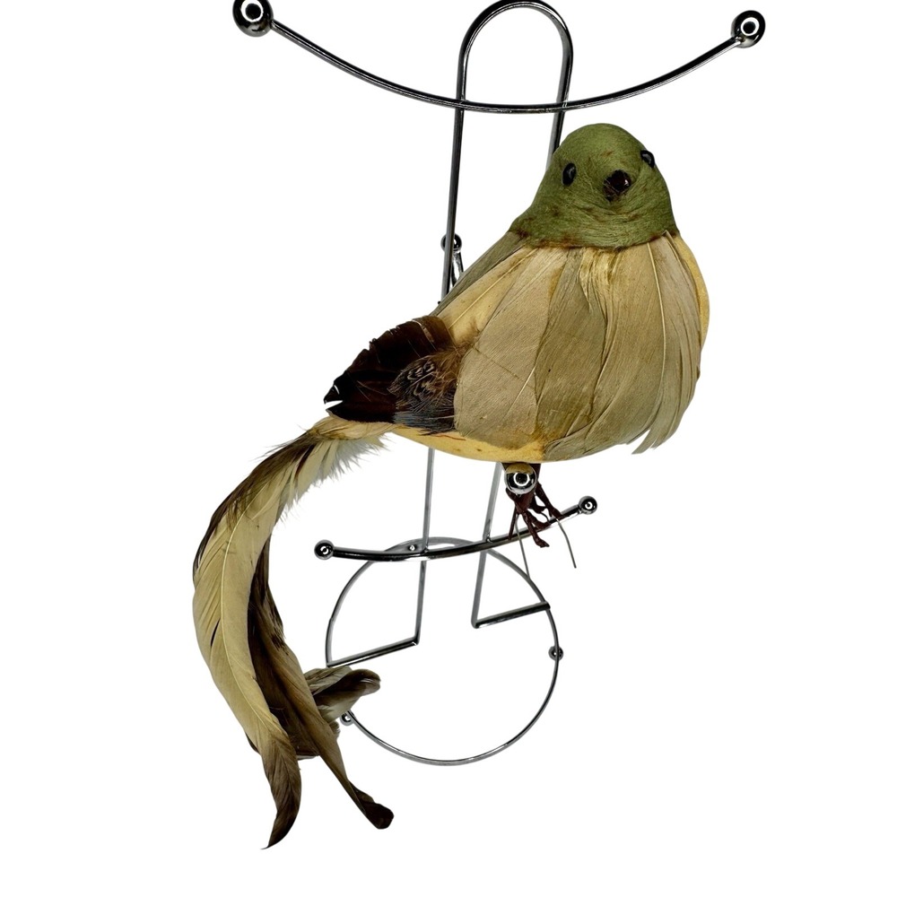 Natural Feather Bird Figurine Long Tail Decorative‎ Home Decor Green Brown